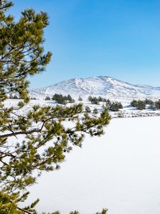 Zima na Zlatiboru