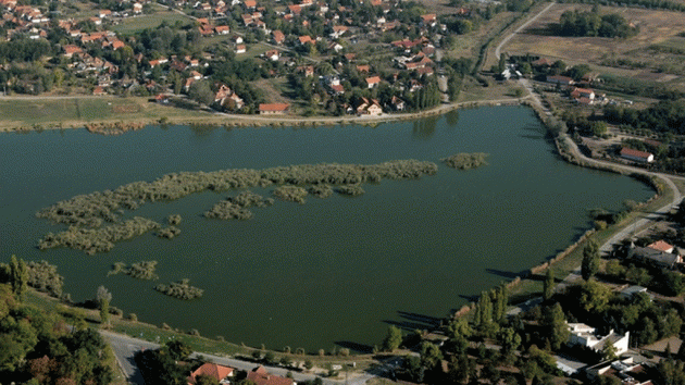 Palić, kako ga ptice vide