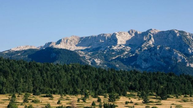 planina Čvrsnica Park prirode Blidnje