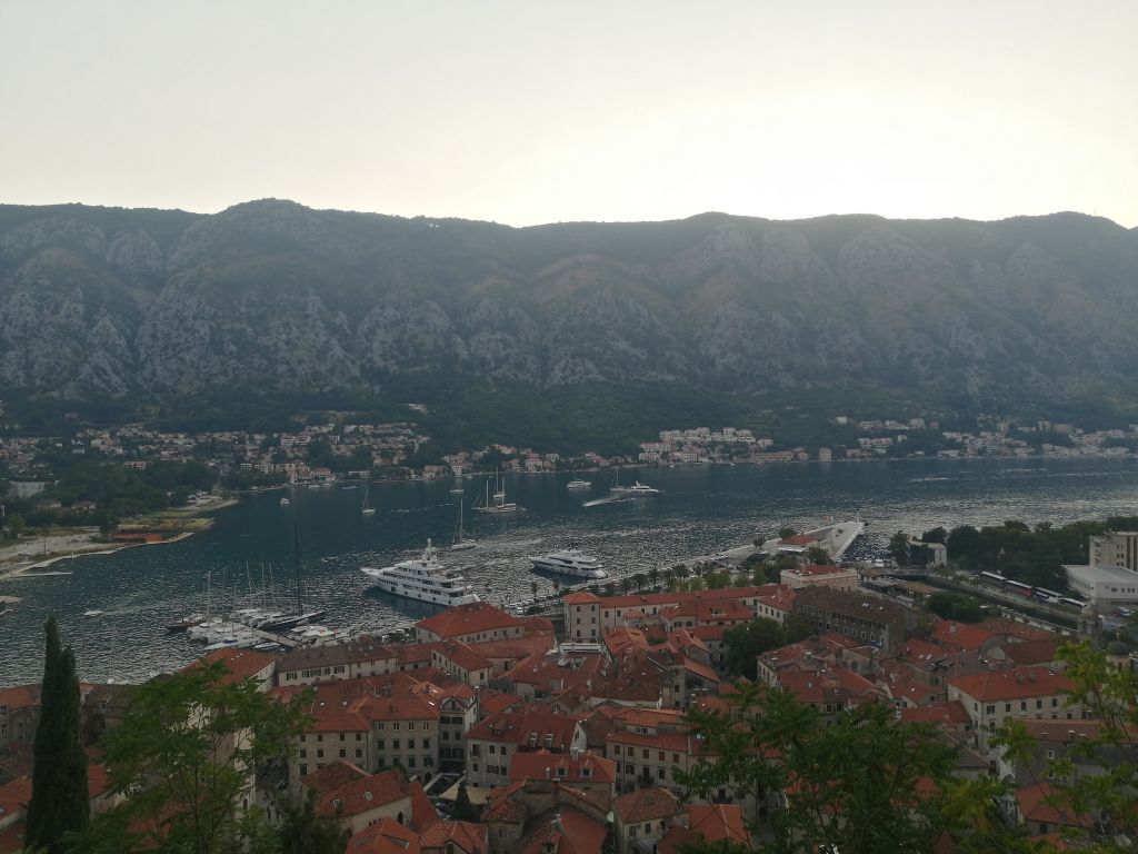 Kotor