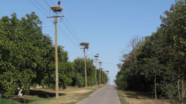 naselje Taraš kod Zrenjanina