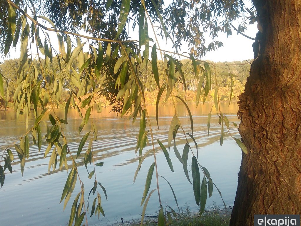 Park prirode Jegrička Temerin Žabalj