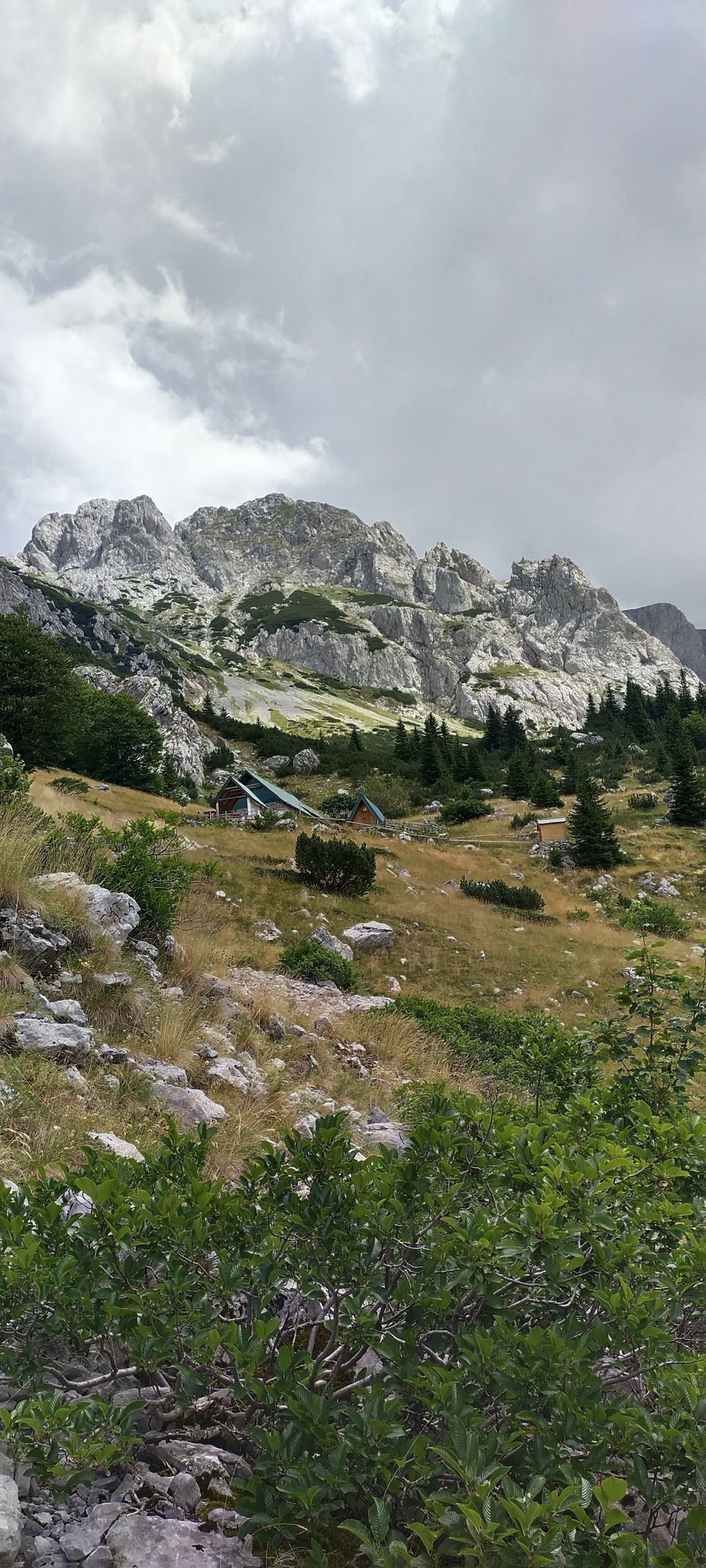 Priroda koja razoružava - kanjon Tare i NP Sutjeska